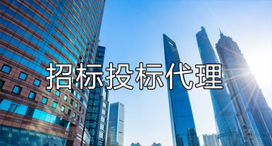 招標(biāo)、投標(biāo)